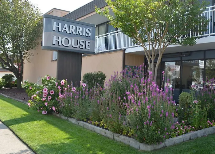 Harris House By The Beach